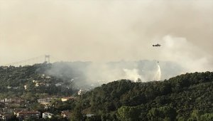 GÜNCELLEME - Beykoz'da ormanlık alanda yangın
