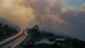 GÜNCELLEME - Bursa'da orman yangınına müdahale ediliyor