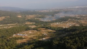 GÜNCELLEME - İzmir'de ormanlık alanda çıkan yangın söndürüldü