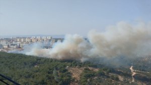 GÜNCELLEME - İzmir'de ormanlık alandaki yangın kontrol altına alındı