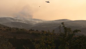 GÜNCELLEME - Kastamonu'daki orman yangınınına müdahale ediliyor