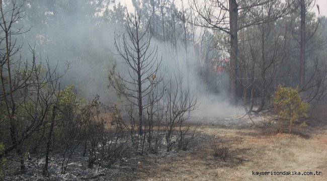 GÜNCELLEME - Kütahya'da çıkan orman yangını kontrol altına alındı
