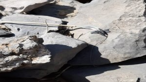 Hakkari'de teröristlere ait el yapımı patlayıcı ile 6 roketatar mühimmatı imha edildi