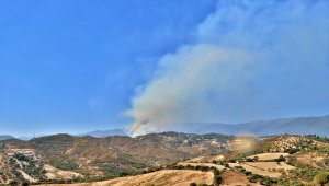 Hatay'daki orman yangını