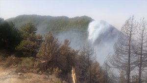 Hatay'daki orman yangınına havadan müdahale tekrar başladı