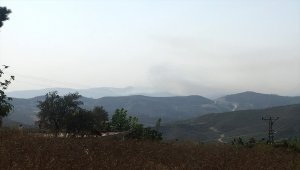 Hatay'ın Suriye sınırındaki orman yangını sürüyor