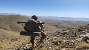 İçişleri Bakanlığı: Van'da "Yıldırım-10 Norduz Operasyonu" başlatıldı 