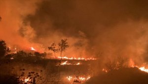 İzmir'de ağaçlık alanda çıkan yangın kontrol altına alındı
