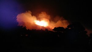 İzmir'de çıkan orman yangını Balıkesir'e sıçradı