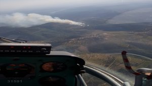 İzmir'de ormanlık alanda yangın