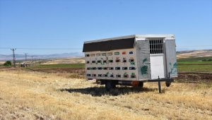 Kaporta ustası tasarladığı konteynerle arılarını "gezdiriyor"