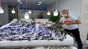 Karadenizli balıkçının yüzünü palamut güldürüyor 