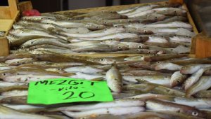 Karadenizli balıkçının yüzünü palamut güldürüyor