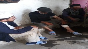 Kars'ta ayı saldırısına uğrayan kişi ağır yaralandı