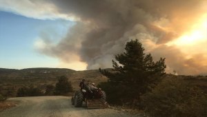 Kastamonu'da çıkan orman yangınına müdahale ediliyor

