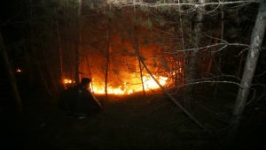Kastamonu'da ormanlık alanda çıkan yangın kontrol altına alındı 