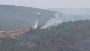 Kastamonu'daki orman yangınını söndürme çalışmaları sürüyor
