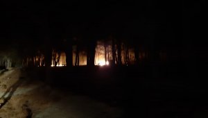 Kazdağları'ndaki orman yangını kontrol altına alınarak söndürüldü