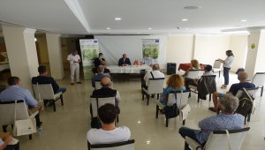 Kırklareli ve Bulgaristan'da ibreli ormanları kurutan kabuk böcekleriyle mücadele edilecek