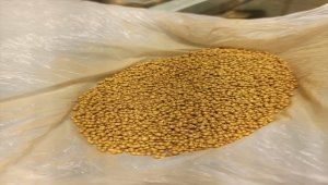 Konya'da sahte altın tozuyla dolandırıcılık iddiasıyla 4 zanlı yakalandı