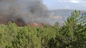 Kütahya'da orman yangını