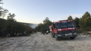 Kütahya'da orman yangını çıktı