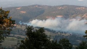 Kütahya'da orman yangınında 3 hektar alan zarar gördü
