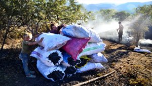 Mangal kömürcülerinin emeklerle dolu zorlu mücadelesi