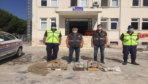 Manisa'da saka kuşu avlayan kişiye 7 bin 95 lira ceza uygulandı