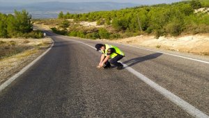 Mersin'de jandarmanın kaplumbağa hassasiyeti 