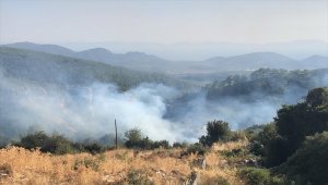 Muğla'da makilik alanda çıkan yangın söndürüldü