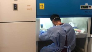 Osmaniye'de Kovid-19 testleri için PCR laboratuvarı kuruldu
