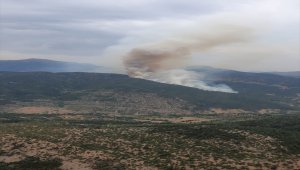 Osmaniye'de orman yangını
