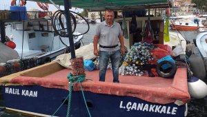 Palamut balıkçının yüzünü güldürüyor