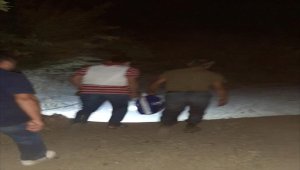 Saklandığı ağaç kavuğunda yakalandı