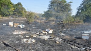 Samsun'da anız yangınının sıçraması sonucu ahır, samanlık ve garaj yandı
