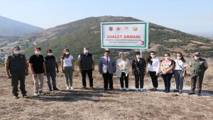 Samsun'da hükümlüler 465 bin metrekarelik alana fidan dikti