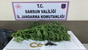 Samsun&#39;da jandarmanın uyuşturucu operasyonunda 15 şüpheli yakalandı