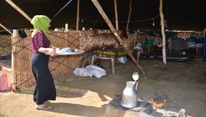 Sıcak bölgelerden Muş'a gelen göçerler yılın büyük bölümünü kıl çadırlarda geçiriyor