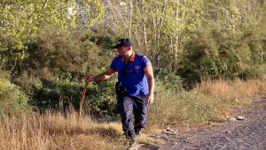 Sivas'ta kaybolan kişiyi arama çalışmaları sürüyor
