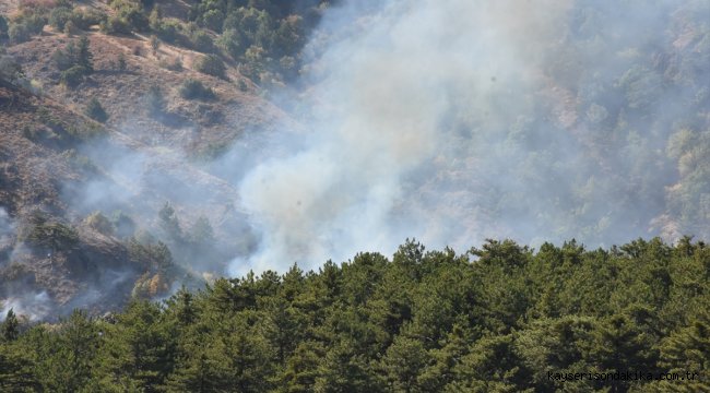 Soğuksu Milli Parkı'nda 30 dönüm ormanlık alan yandı