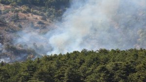 Soğuksu Milli Parkı'nda 30 dönüm ormanlık alan yandı