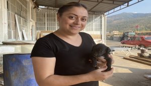 Su borusuna sıkışan yavru köpeği kurtarmak için seferber oldular