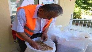 Tarlasında yetiştirdiği nohutları lösemili çocuklara "şifa olsun" diye bağışladı 