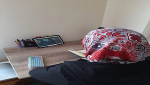 TDV'den burs alan öğrencilere yönelik online eğitim kampı