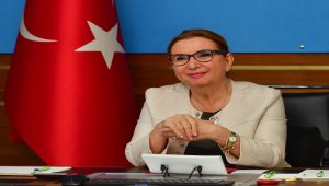 Ticaret Bakanı Pekcan'dan ABD ile "100 milyar dolarlık ticaret hacmi" vurgusu: