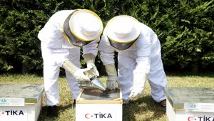 TİKA'dan Lübnanlı gençlere arıcılık desteği
