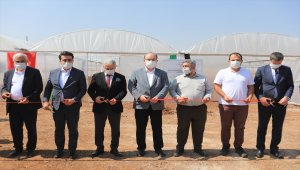 TİKA Suriye'nin kuzeyinde fide üretim merkezi açtı