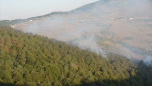 Tokat'ta çıkan orman yangınına müdahale ediliyor