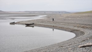 Toplu balık ölümlerinin yaşandığı Arpaçay Barajı'nın kapakları kısmen kapatıldı